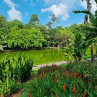 Symphony Lake & Heliconia Walk