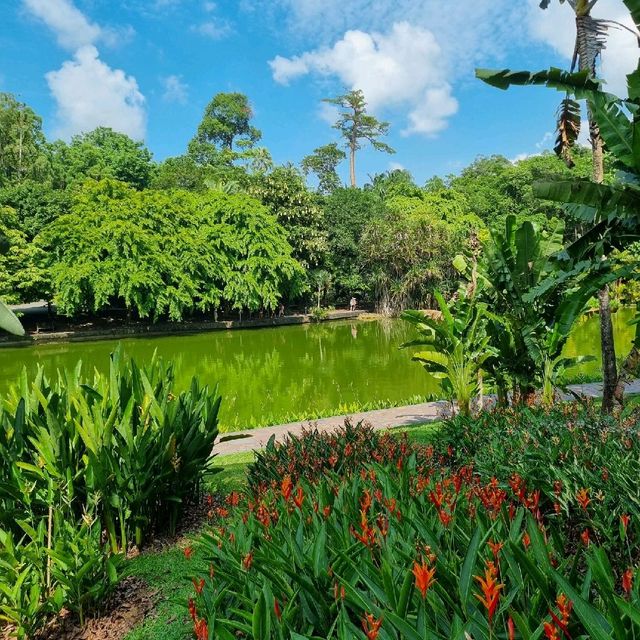 Symphony Lake & Heliconia Walk