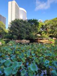 Nature in the middle of Hong Kong