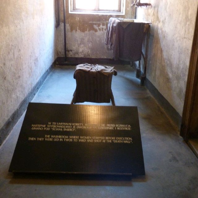 An emotional experience at Auschwitz