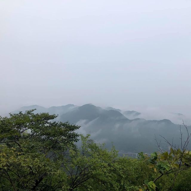 東京近郊遊👉🏻高尾山⛰️