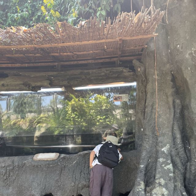 駅からすぐ東京でパンダに会える上野動物園