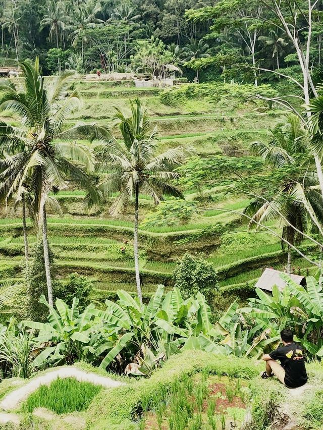 Gateway to Heaven in Bali