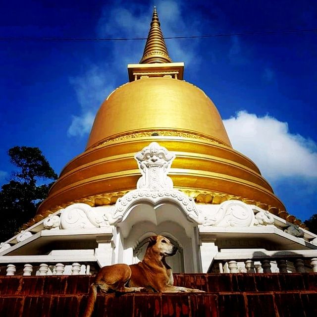 The Golden & Cave Temple At Dambulla