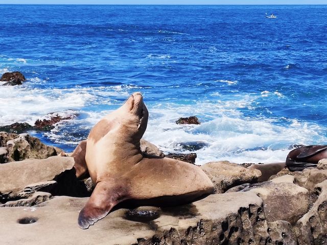 A city that you must visit in San Diego.