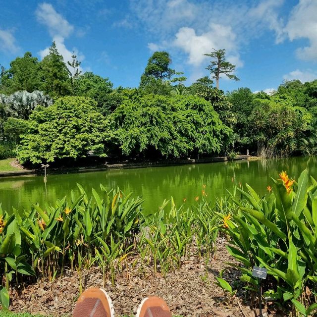 Symphony Lake & Heliconia Walk