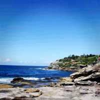 Bondi To Bronte Coastal Walk