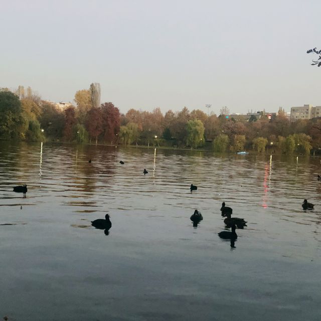 Bucharest in warm light