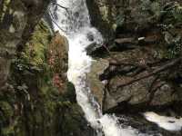 Peace and Tranquillity at Cradle Mountain