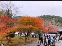 京都[紅葉めぐり]  南禅寺　三門の紅葉が絶景❗️