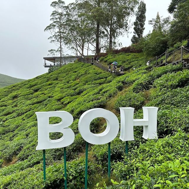 Cameron Highland Trip