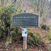 Multnomah Falls: Family-Fun-Festivities