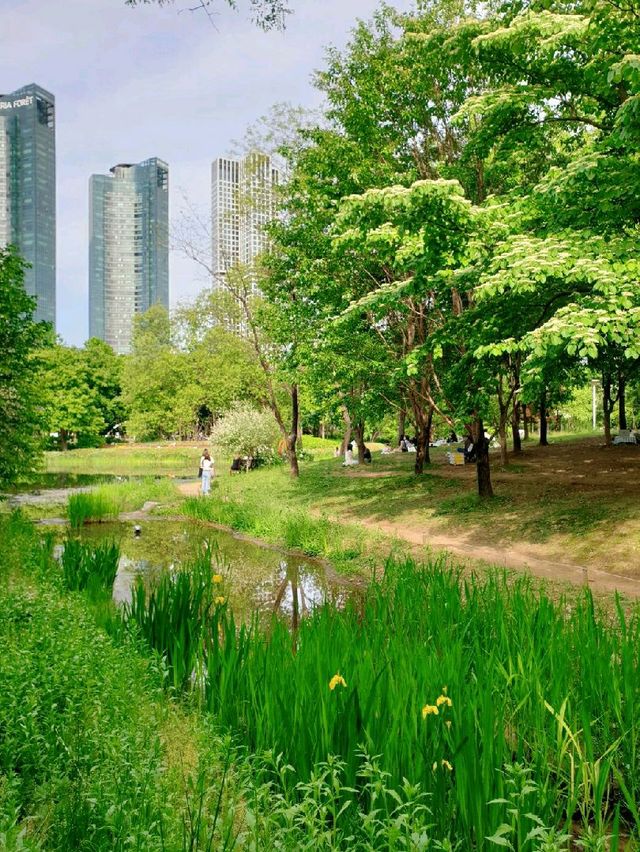 도심 속에서 자연을 느낄 수 있는 곳, 서울숲 🌳