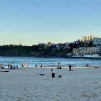 Bondi Beach - Sydney