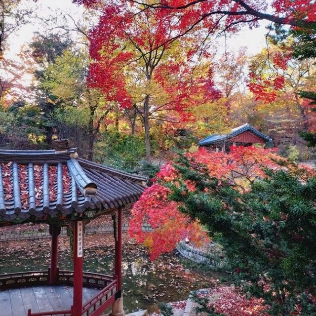 Secret Garden autumn foliage