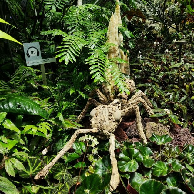 The Secret Garden at Cloud Forest