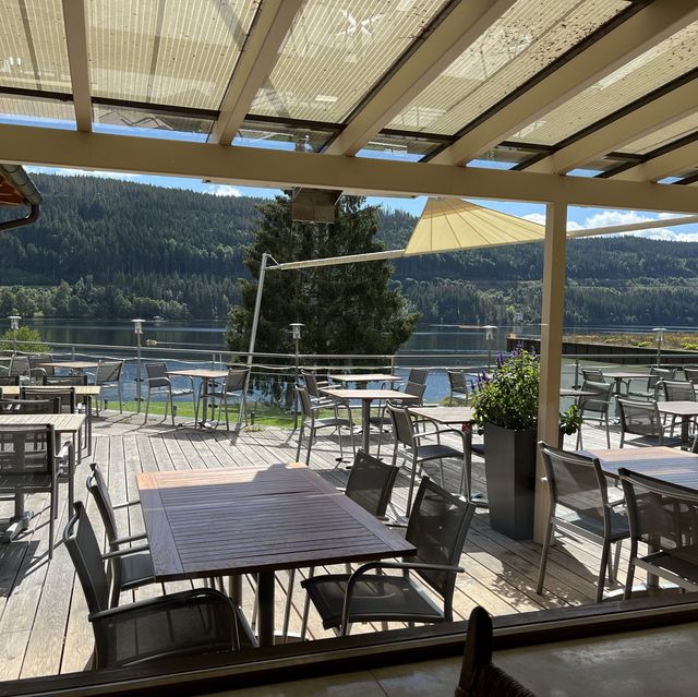 Titisee - ❤️lake and pine trees 🌲 🇩🇪