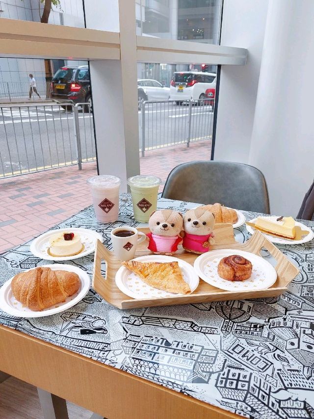 灣仔 | Caffe Milani | 新店環境光猛