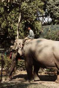 Nepal Kathmandu Central Zoo