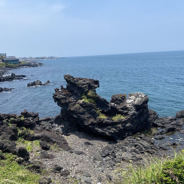 [제주] 용두암 🪨, 제주도 왔으면 이거 한 번쯤은 보고 가야지