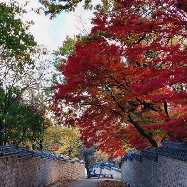 Secret Garden autumn foliage