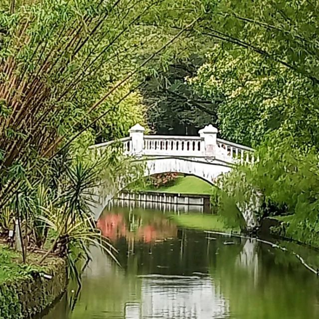  Tropical Rainforest Lake Park