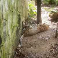 Zoo Negara - KL, Malaysia