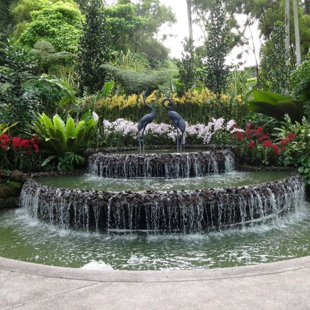 Singapore Botanic Gardens