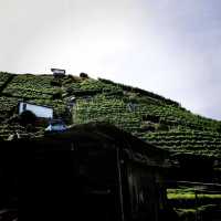 The Views Of Cameron Highland Malaysia