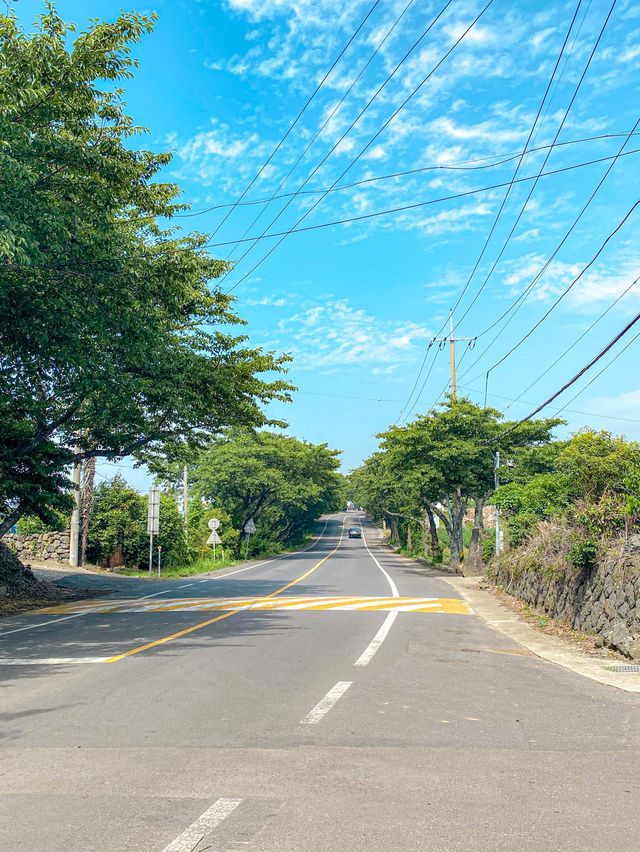 제주도에서 셀프 스냅사진찍기