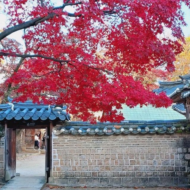 Secret Garden autumn foliage