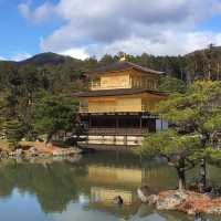 千年一見，金閣寺