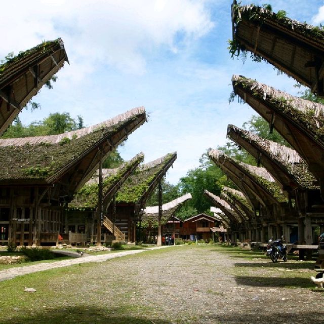 Torajaland, South Sulawesi