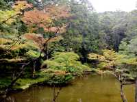 Saihoji Temple——Japan Kyoto