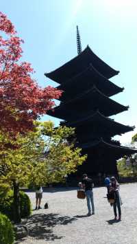 京都東寺