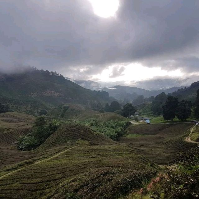 Trekking for RAFFLESIA