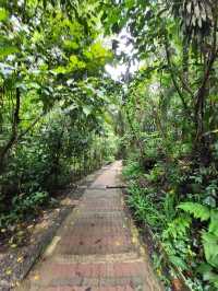 Bukit Gasing Hiking Trail 👣✨