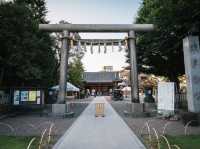 Iconic Sensoji Temple