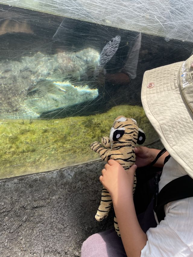  両生爬虫類館 といったらここ上野動物園！