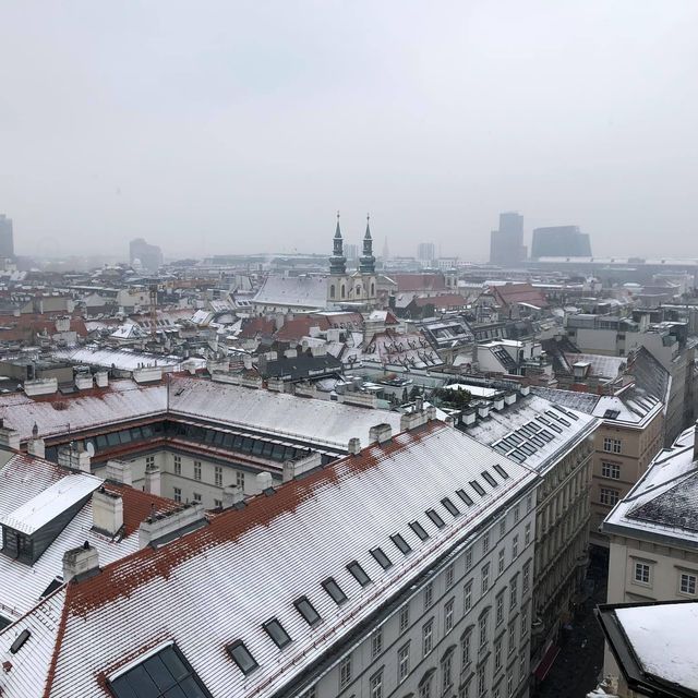 St. Stephen’s Cathedral - Vienna 