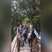 Journey To The Peak Of North Borneo