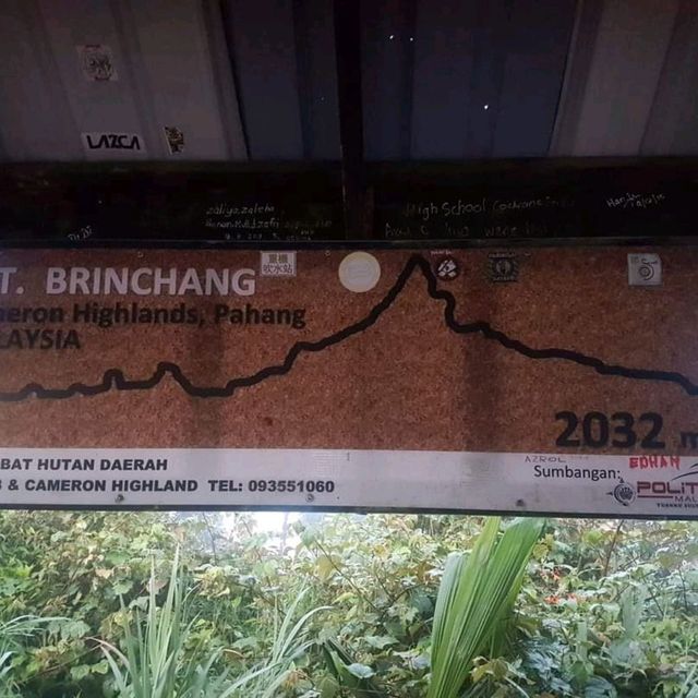 Trekking for RAFFLESIA