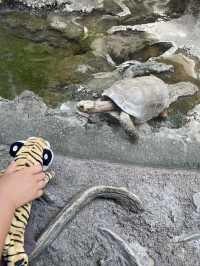  両生爬虫類館 といったらここ上野動物園！