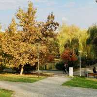 Bucharest in warm light