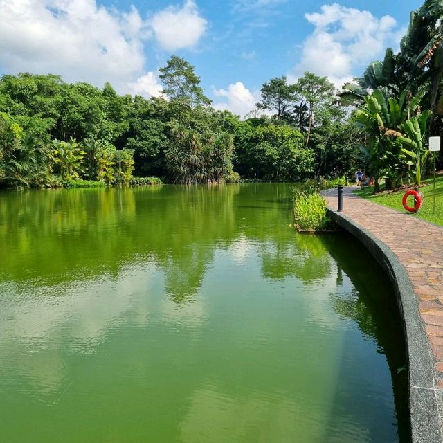 Symphony Lake & Heliconia Walk