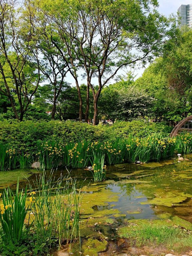 도심 속에서 자연을 느낄 수 있는 곳, 서울숲 🌳