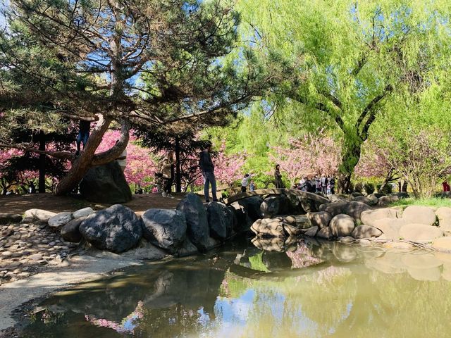 Bucharest Romania - Japanese Garden 