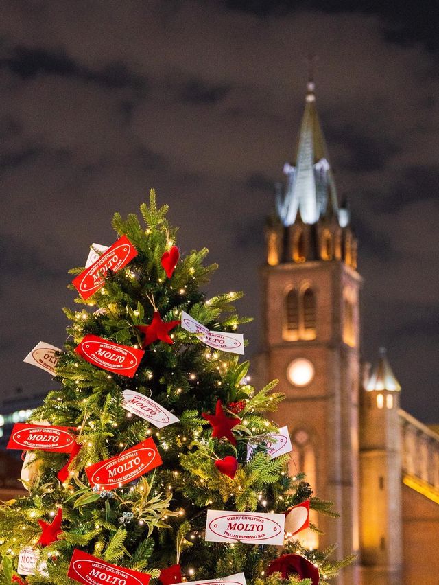 유럽 갬성 넘치는 성당 뷰와 크리스마스 트리를 함께⁉️🎄🎅🏻