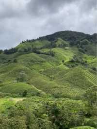 Tea time in the windy and cool breeze 