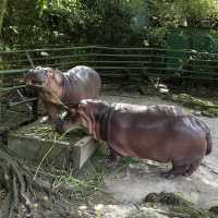 Zoo Negara - KL, Malaysia